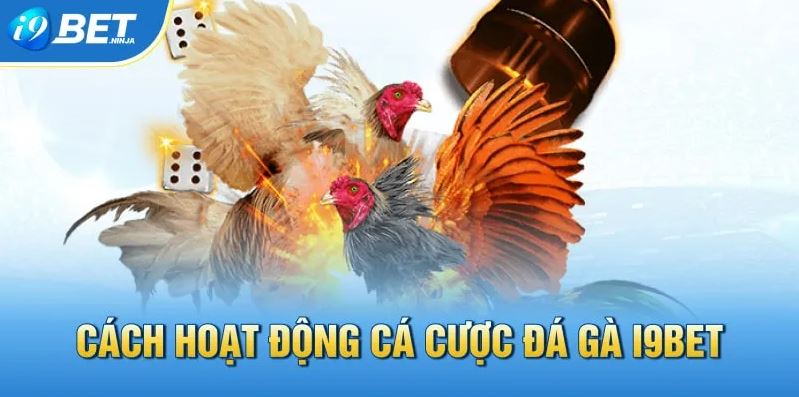 Đá Gà I9BET - Khám Phá Trận Đấu Chọi Gà Hấp Dẫn Nhất